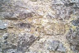 rockfield 1150.JPG